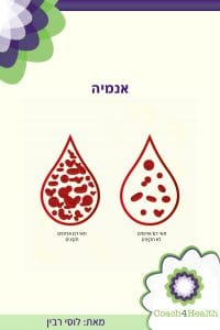 המדריך לאנמיה