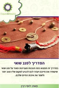 המדריך לפנג שואי